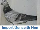 Import Dunseith Hen from Davey Warrener